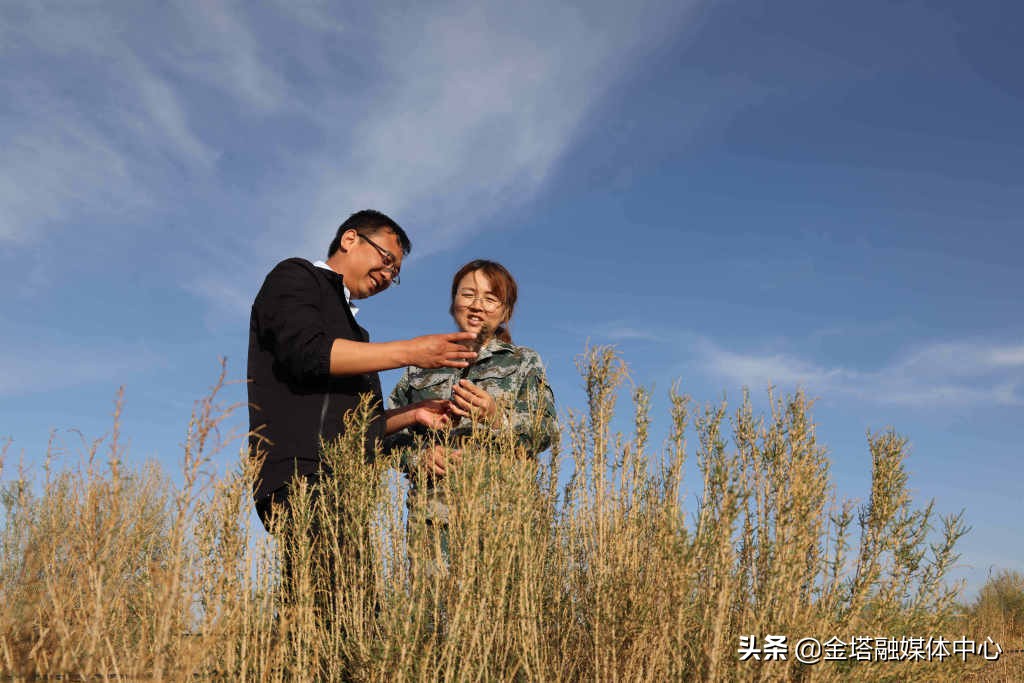 新疆兵团二师37团,新疆生产建设兵团二师22团