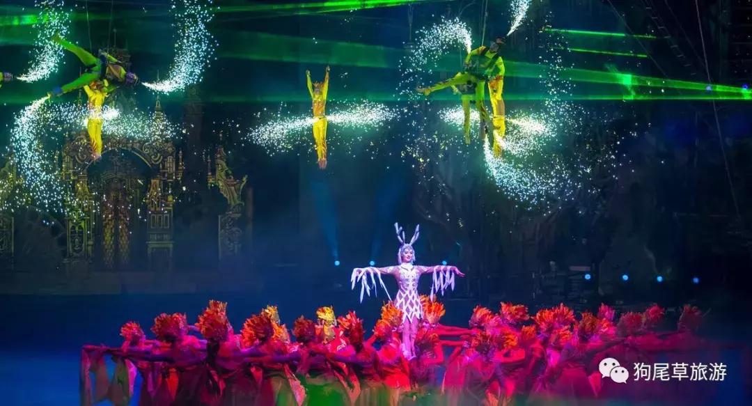 广州长隆旅游攻略野生动物园,广州长隆野生动物世界旅游攻略