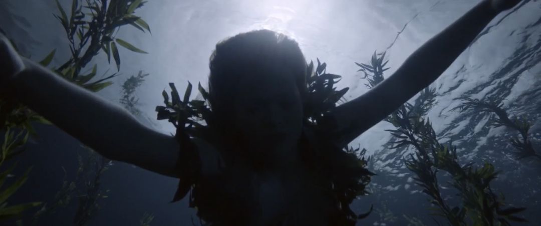 最近的cult片,cult新片