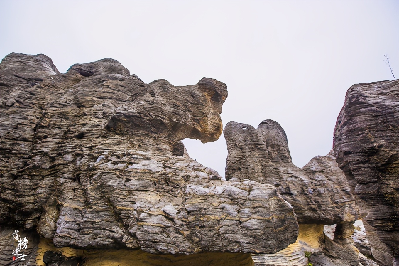 黄山西递古村落景点简介,黄山市西递古村落图片