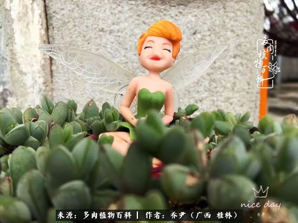 听到秋天的声音,听到了秋天的声音