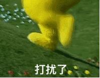 接受扩列,ky别来,日常养火,随时nss,这些00后黑话你懂吗