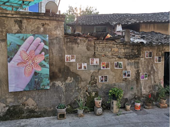 傅拥军的作品,傅拥军案例