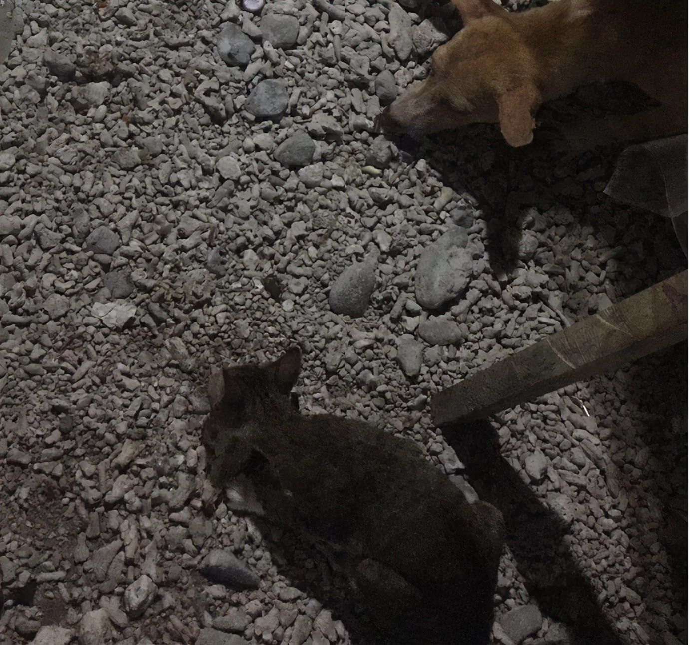 菲律宾自由行旅游攻略地图,菲律宾10天深度游