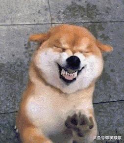 深圳的公积金在哪些地方可以用,深圳公积金如何使用最有效