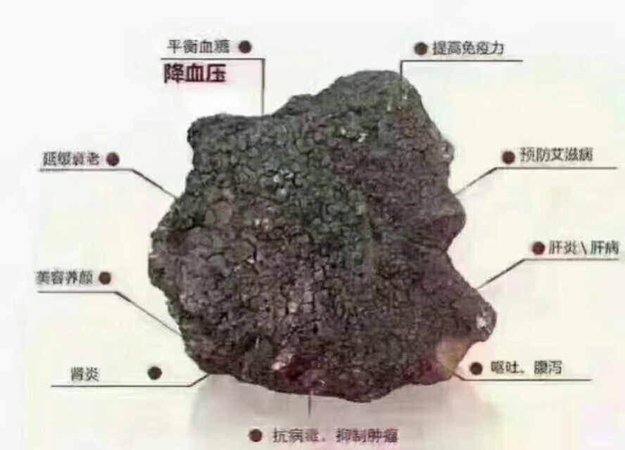 什么是桦树茸,什么是桦树茸黑金茸