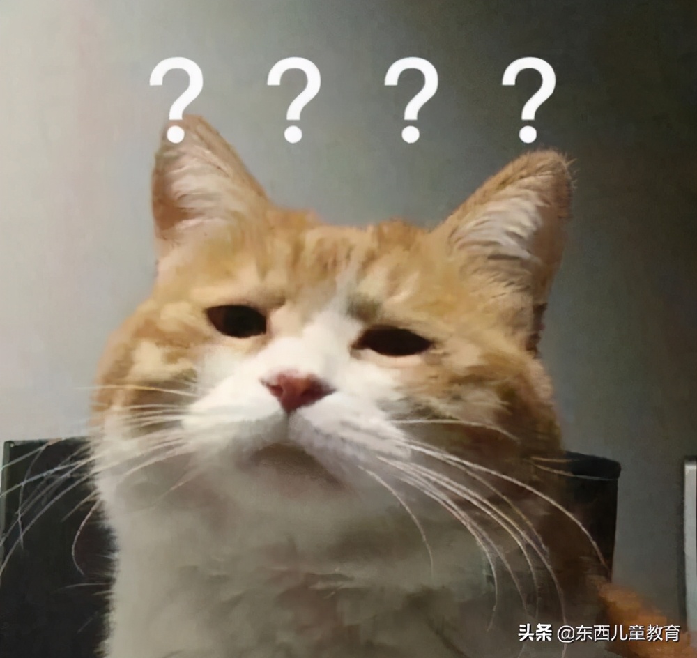 教育部提倡男孩“阳刚之气”,教育部关于阳刚之气培养的看法