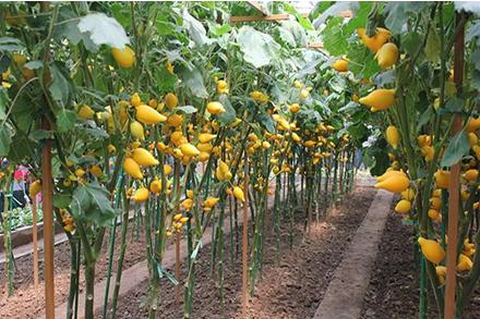 足球场上思考人生,足球励志精辟感言