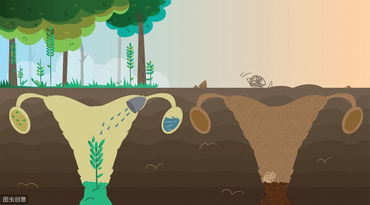 子宫肌瘤介入栓塞造影剂作用,子宫肌瘤介入栓塞有副作用吗