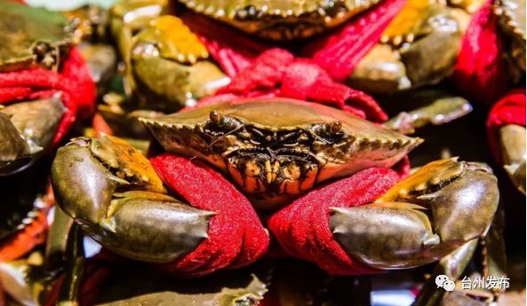 台州人自己说台州的话,台州人真的很懂生活