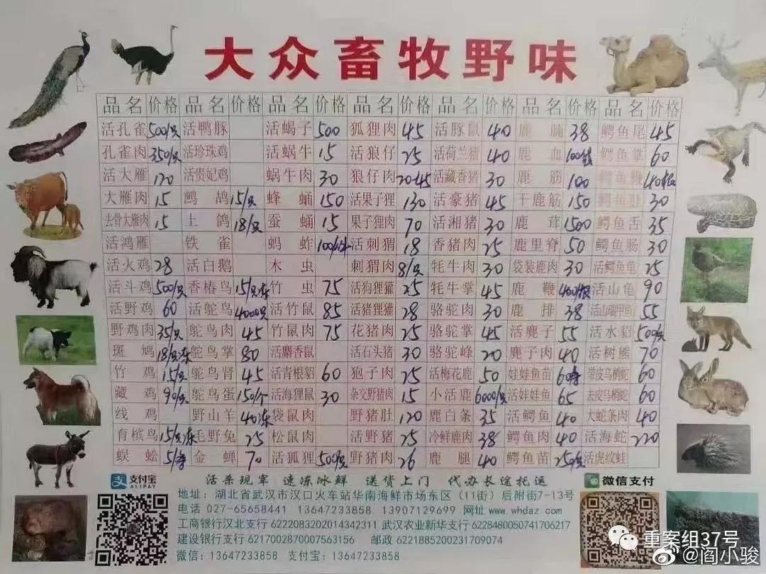 武汉新冠首例治愈患者,武汉确诊第一例新型肺炎