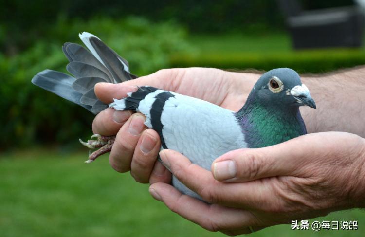 马赛夺冠,马赛92冠军