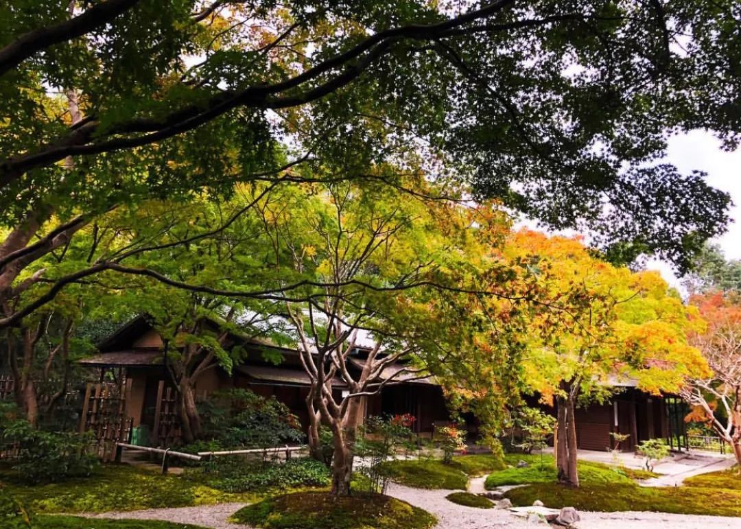 大阪两天攻略,最新日本大阪攻略