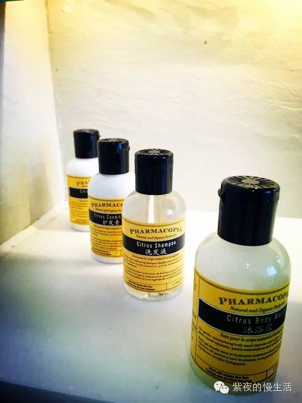 苏州带宠物去的古镇,苏州小众宠物乐园推荐