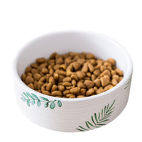 想要养狗养啥狗,想要养狗的句子