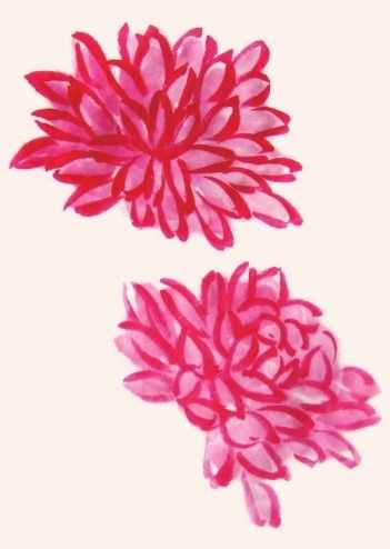 国画菊花的叶子画法步骤入门,梅兰竹菊国画菊花初学者怎么用笔