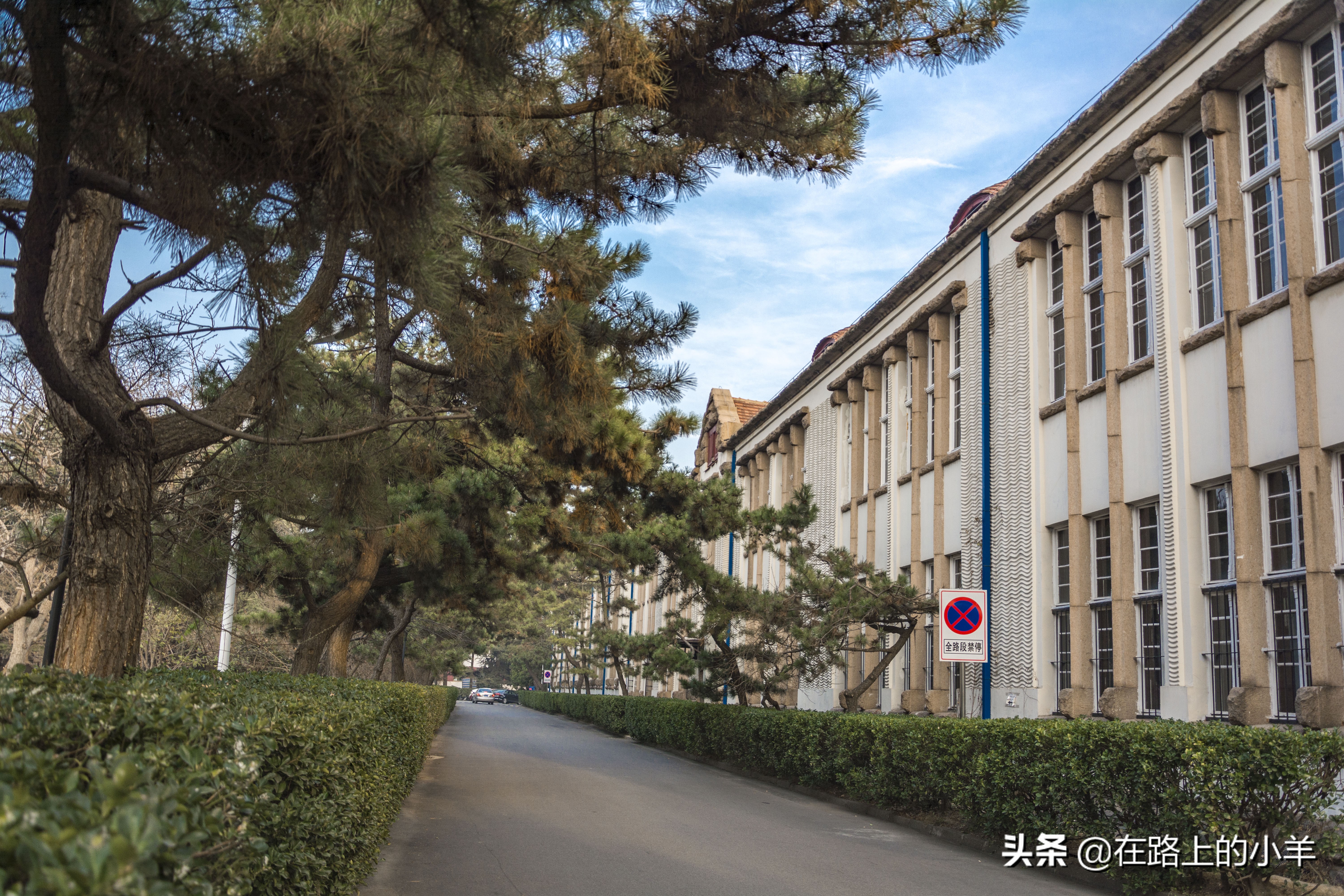 旅游青岛最好的海洋大学，校区风景果然漂亮，可惜一直被游客忽视