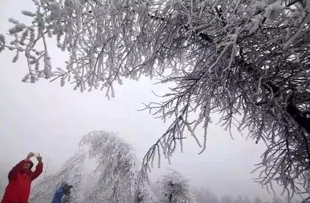 此生必去看一次雾凇太美了,此生必去看一次雾凇简直要美哭了