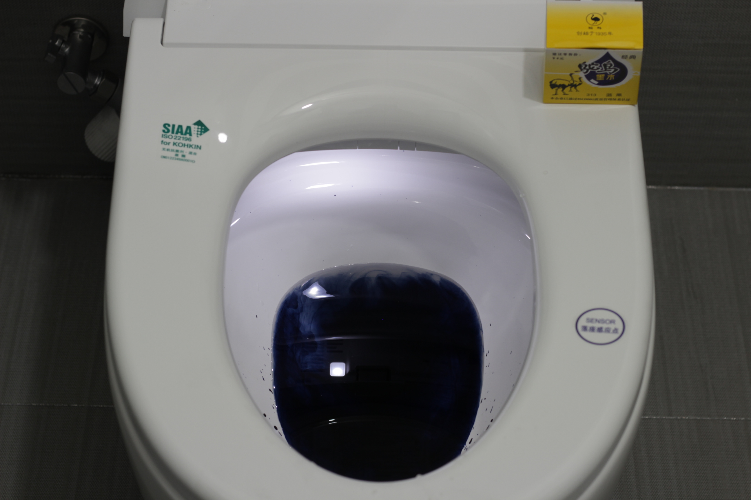 旧时王谢堂前燕，飞入寻常百姓家---怡和YV50智能马桶