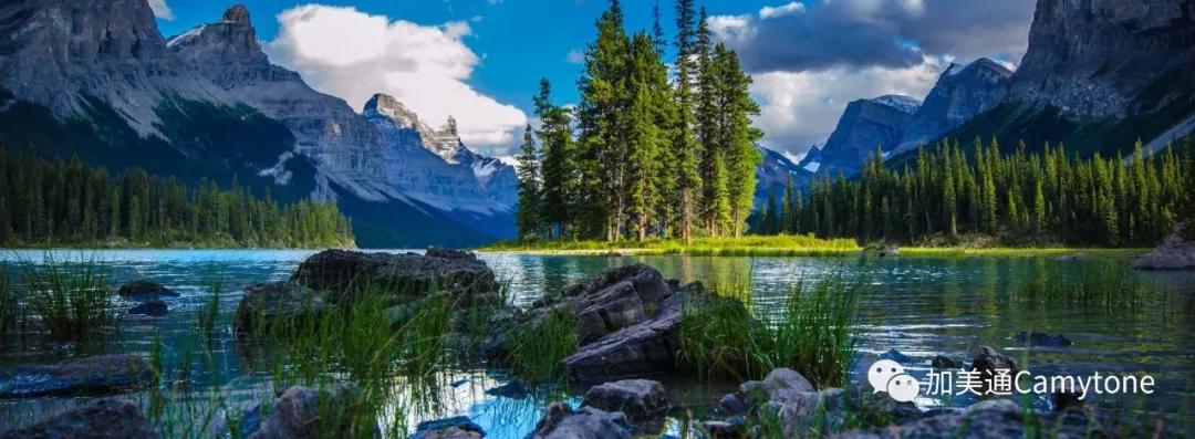 40涓悊鐢辫浣犵埍涓婂姞鎷垮ぇ鍗″皵鍔犻噷,鍘诲姞鎷垮ぇ鍗″皵鍔犻噷鏀荤暐