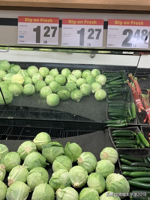 加拿大超市购物必买 (加拿大多伦多costco购物必买)