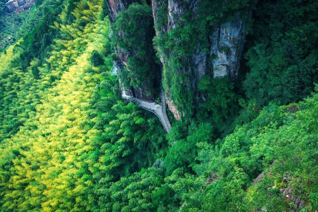 比乌镇安静比南浔古朴,藏不住了这里有最炫秋色