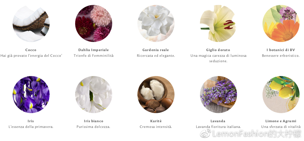 bottegaverde护肤品,bottegaveneta上海佛罗伦萨