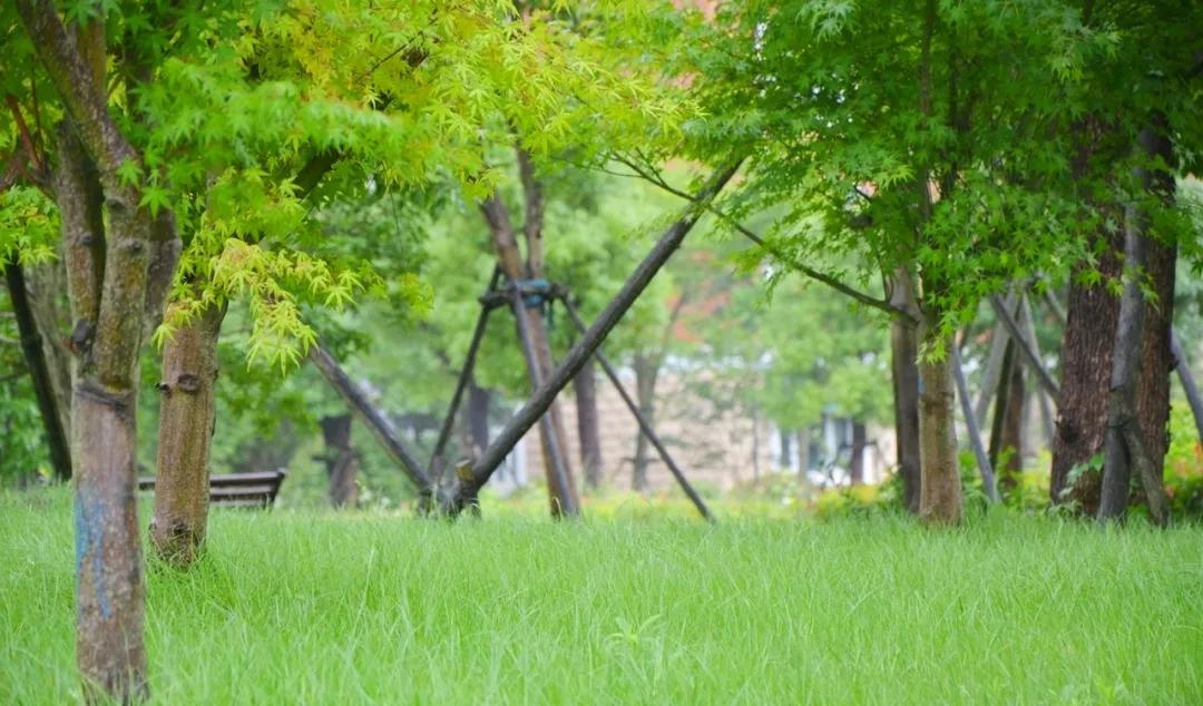 梅雨时节的铁山寺,这里藏着最美的风景