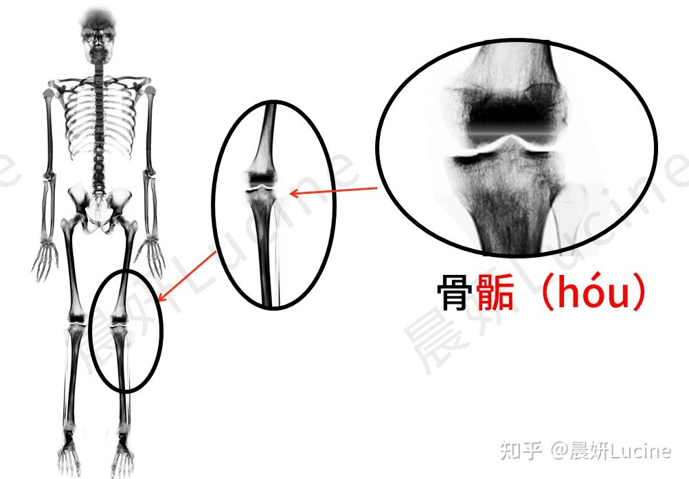 个子矮肚子大男生穿搭,身高较矮的男生穿搭