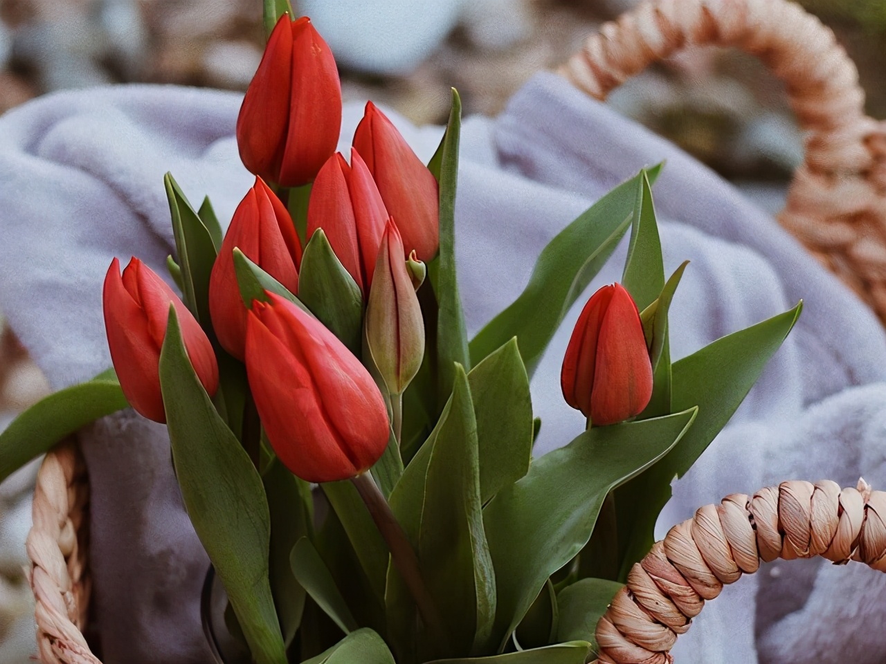 流年似水光阴荏苒,珍惜流年似水的日子