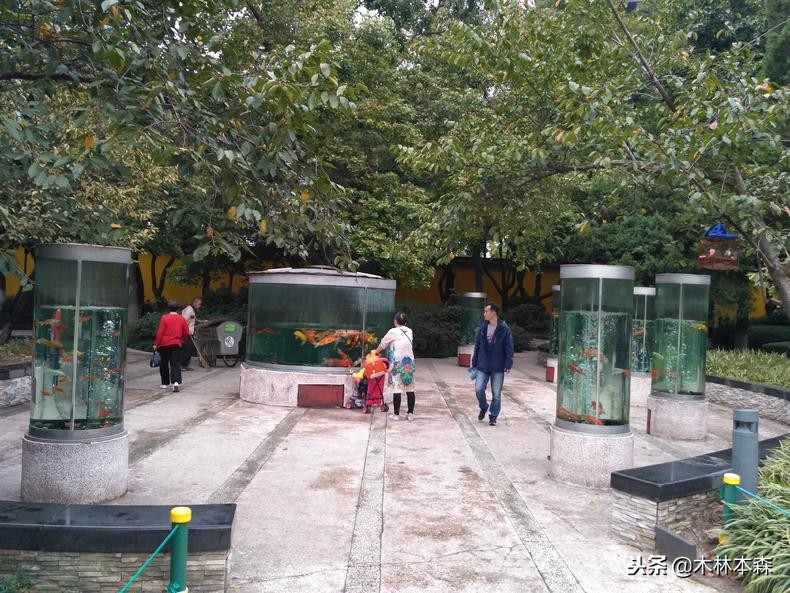 常州天宁禅寺佛塔,去天宁寺坐几路车