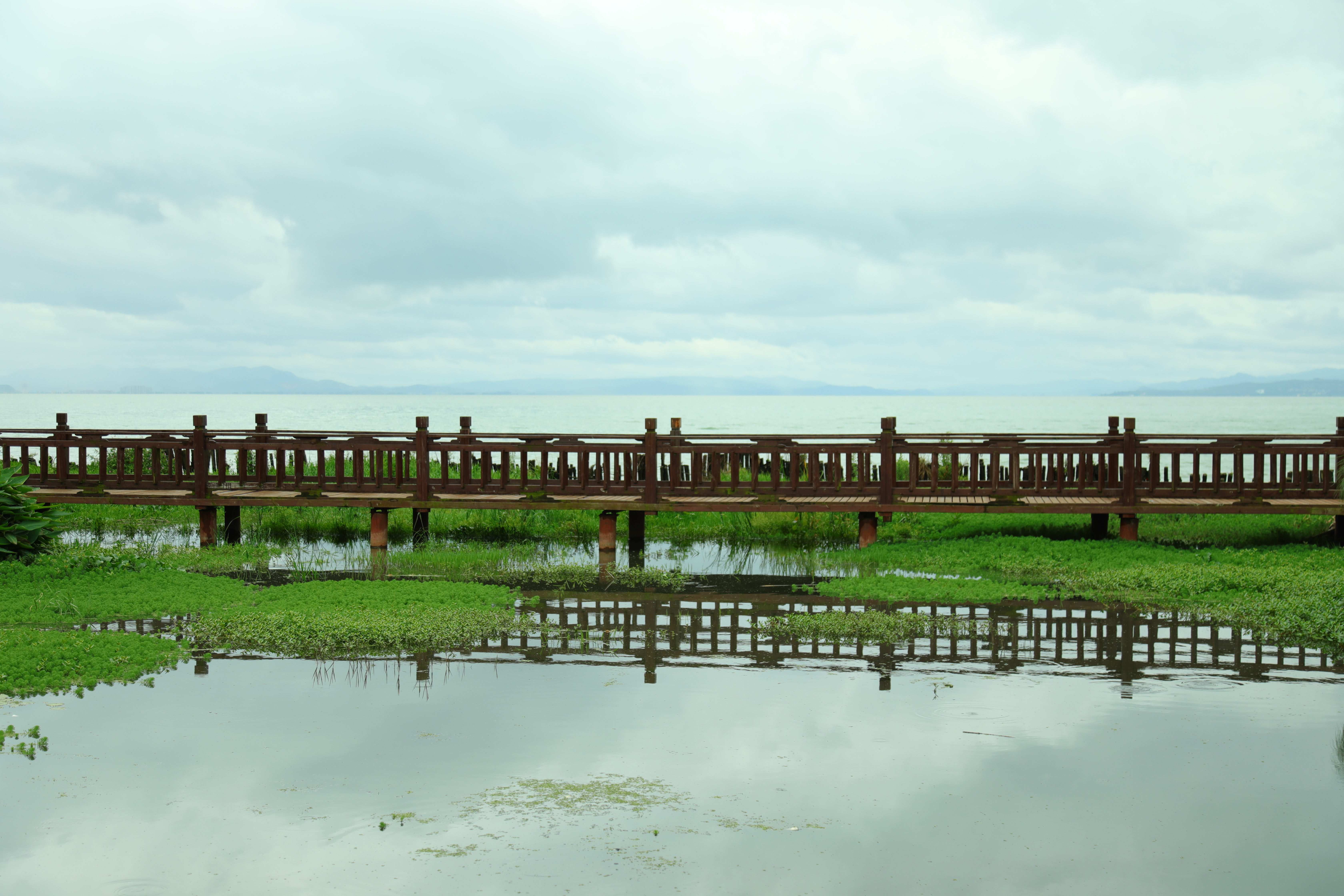 昆明轿子雪山2022元旦旅游攻略,元旦昆明周边有免费玩的景点吗