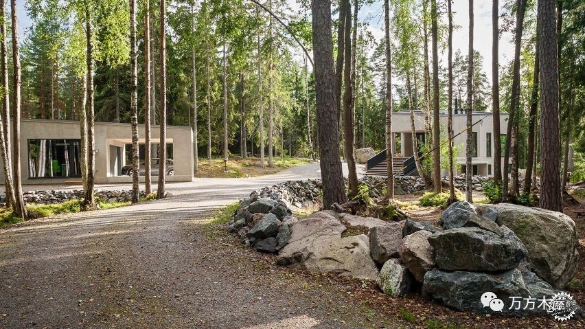 绿林深处美景,绿林深处的美景