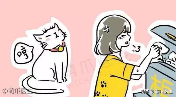 猫咪喜欢在塑料袋尿尿,猫咪吃塑料袋什么原因