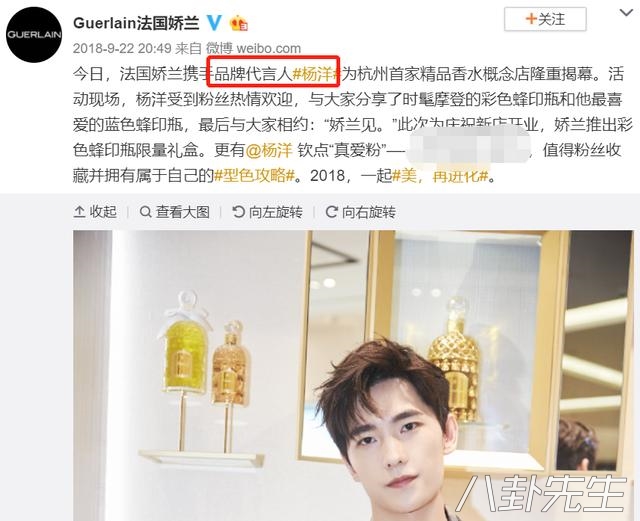 各个大牌代言人,各个大牌的代言人有什么特点