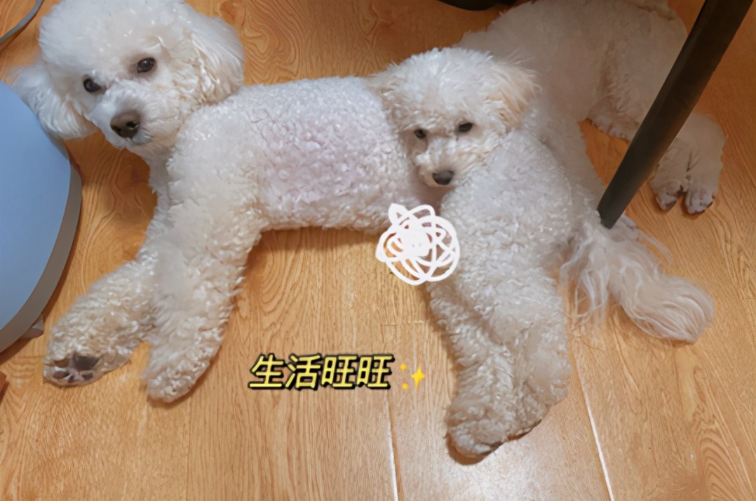 神武老玩家回忆录,神武回忆录