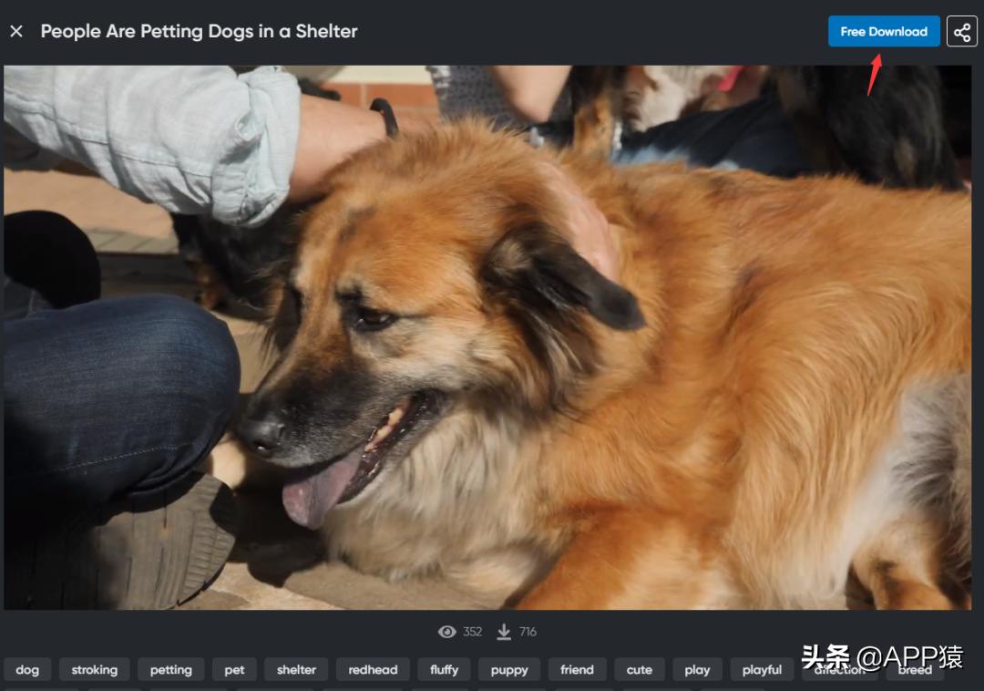 免费好用的影视网站,八个免费且好用的免费网站