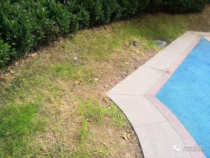 万达公馆值得买吗,万达公馆的房子多少钱一平米