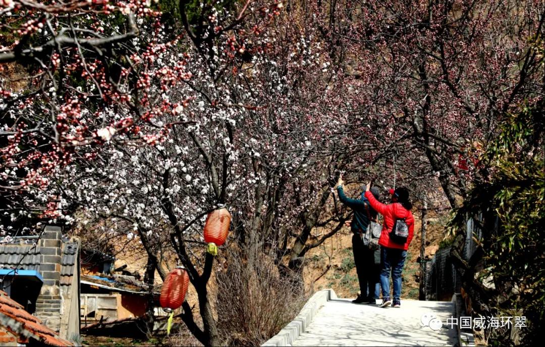 环翠公园美景,走进春天的环翠公园