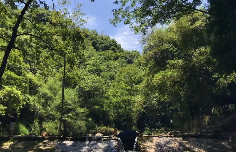 成都露营遛娃抓蝌蚪,成都周边避暑遛娃