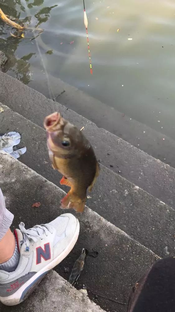 友人相约-本汀七迦爽爆竿