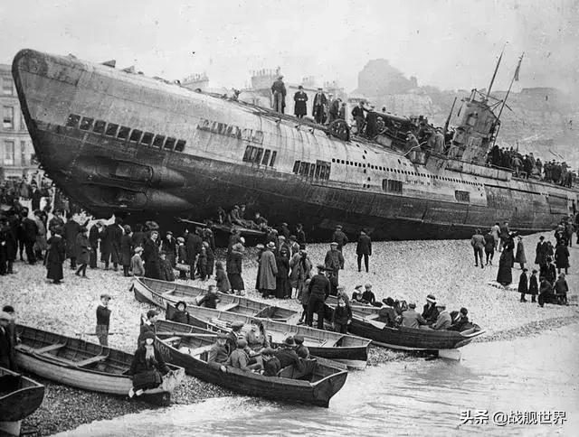 狼群的真实战术,狼群战术简介