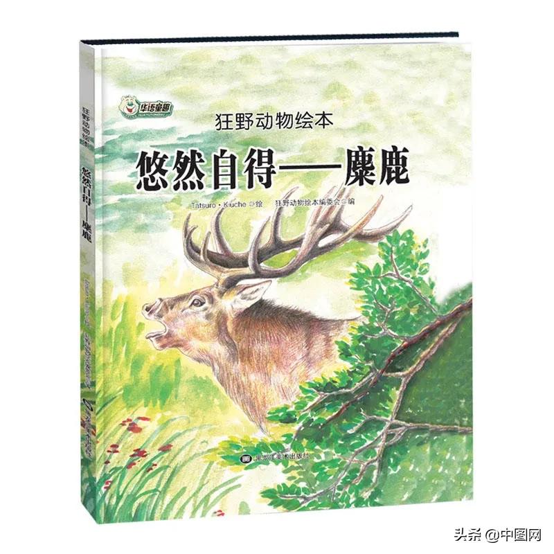 疯狂购物怎么办,疯狂购物怎么买东西