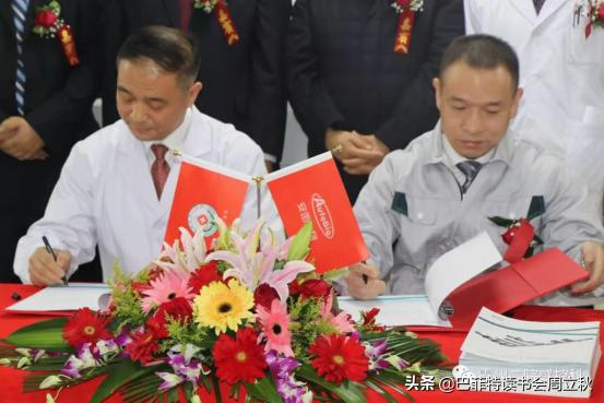 避开刀光剑影，分级医疗推动，还将继续高飞|安图生物业绩解读