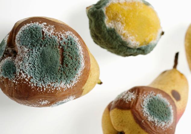 杭州梅雨季节怎么办,杭州梅雨季节防潮怎么处理