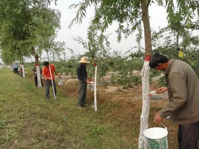 瀵掓皵渚佃韬綋,瀵掓皵鍏ヤ镜浼氬鍔犺韩浣撴箍姘斿悧