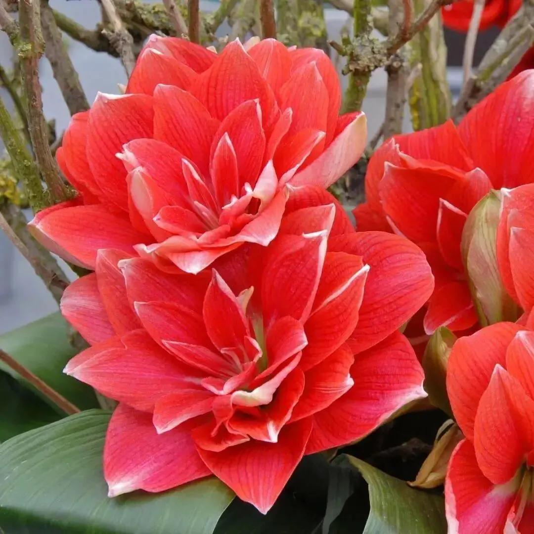 老北京俏皮话歇后语,老北京典故及歇后语