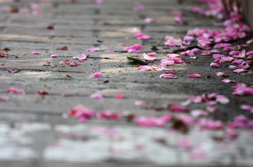 算了吧爱情歌曲,感情中的算了吧