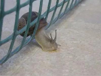 湖南省考面试问题及回答技巧,浙江公考面试题及答案