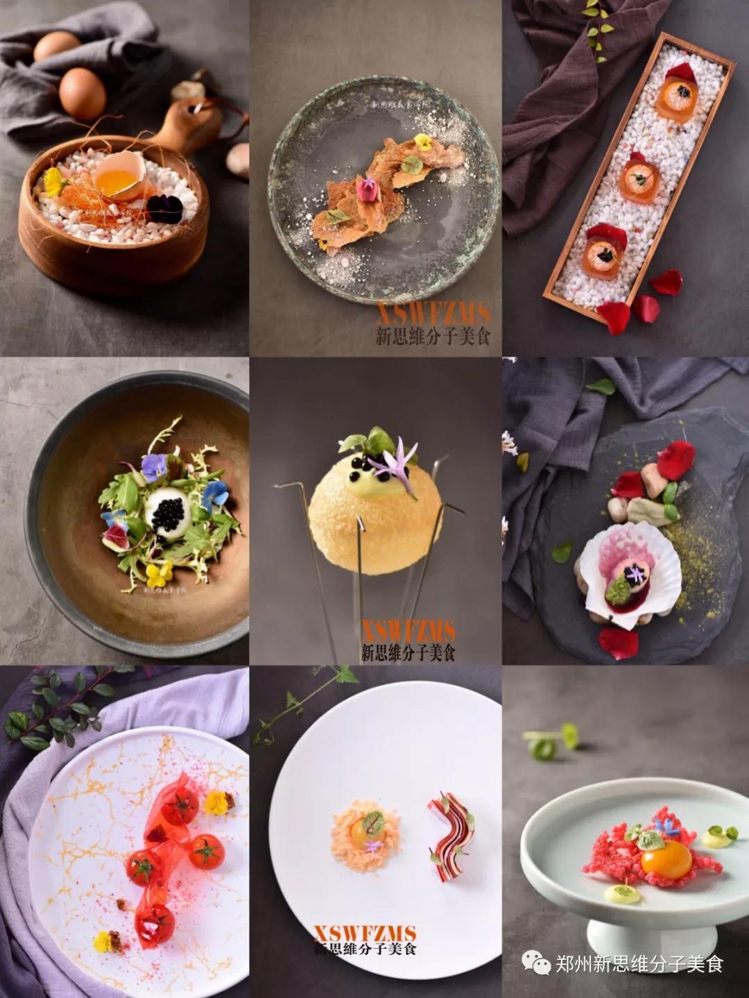 分子料理郭红晓,分子料理郭红晓完整版